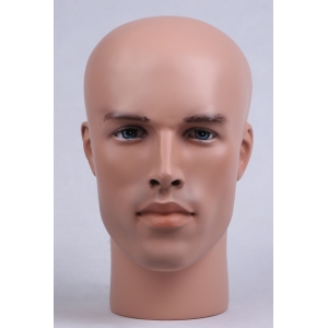 Mannequin Male Head H35