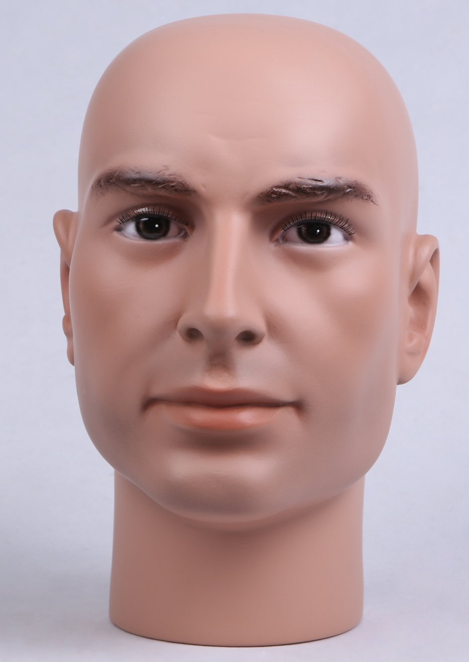 Realistic male heads  HWW Museum Mannequins