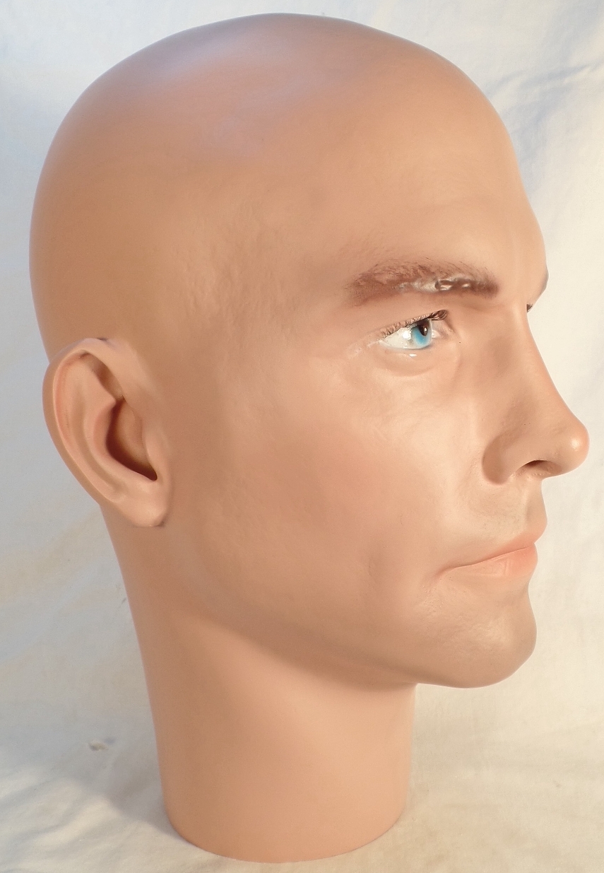 Mannequin Male Head TE 35 © BROWN EYES