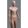 Military Male Caucasian Mannequin MDP TE30 (without uniform)