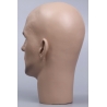 Mannequin Male Head TE 35 ©