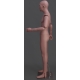 Extra Small Articulated MDP08 PT ART © Caucasian Mannequin