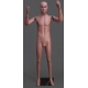 Extra Small Articulated MDP14 PT ART © Caucasian Mannequin