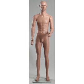 Military Male Caucasian Mannequin MDP-12 © (without uniform)