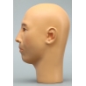 Mannequin ASIAN Male Head TE 25 ©