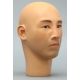 Mannequin ASIAN Male Head TE 25 ©