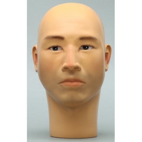 Mannequin ASIAN Male Head TE 25 ©