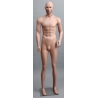 Military Male Caucasian Mannequin MDP TE04 ©