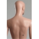 Dorsal Support Rod for Standing Mannequin DSR